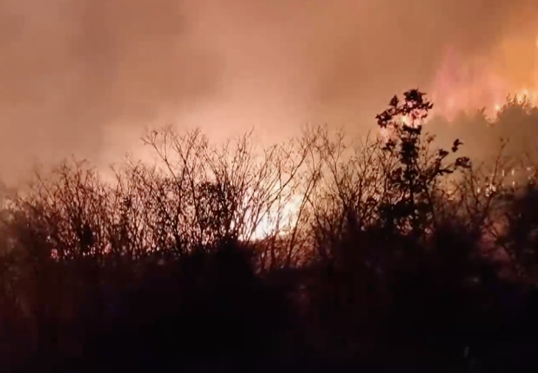 (ВИДЕО) Огънят не отстъпва: Големият пожар край Горно Луково остава активен и тази нощ