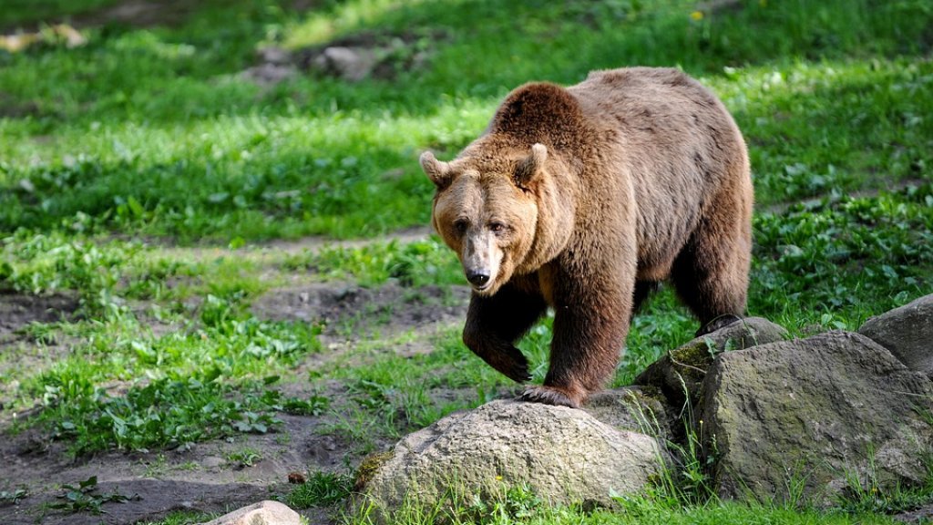 WWF България: важни предупреждения за безопасност на Витоша