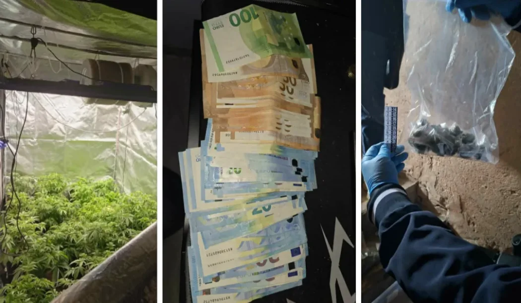 Удар срещу дрогата в София: 19 задържани, наркооранжерия и фентанил край училища