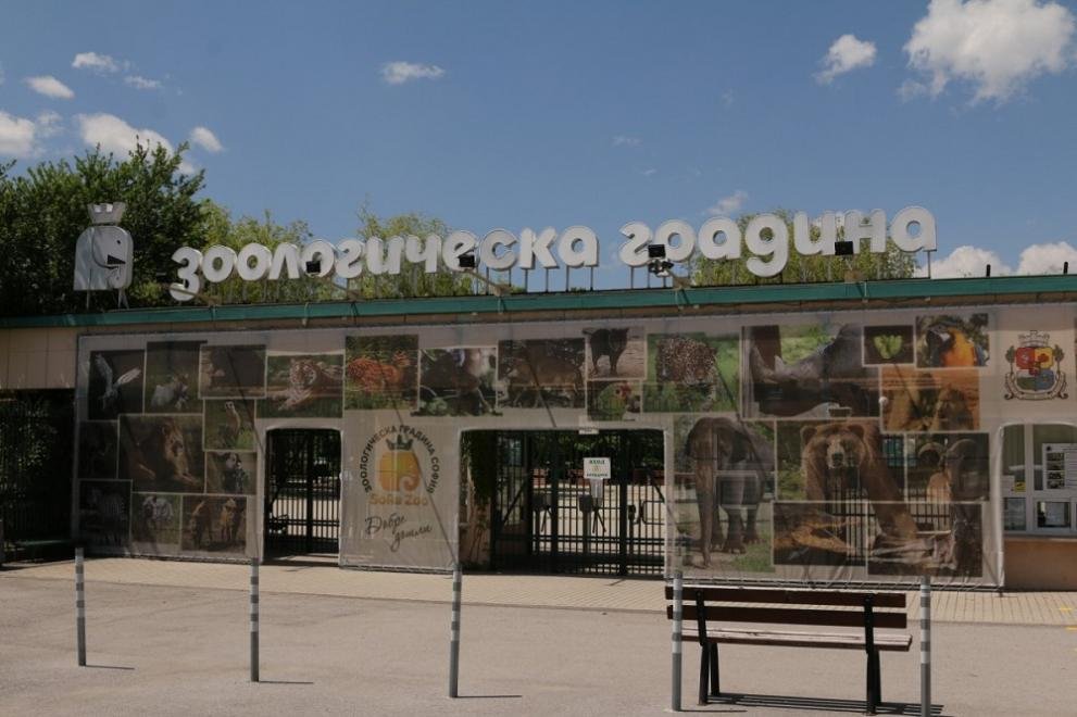 Безплатен вход за деца и младежи в Зоологическата градина в София за 1 юни