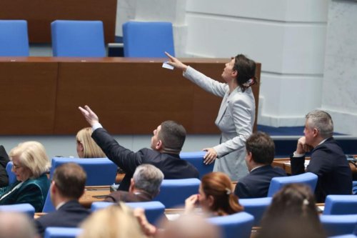 Парламентът натисна служебния кабинет за &bdquo;Борда за мир&ldquo;: Гюров готви ход към Конституционния съд