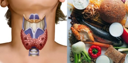 Шест храни, които помагат на щитовидната жлеза да работи правилно