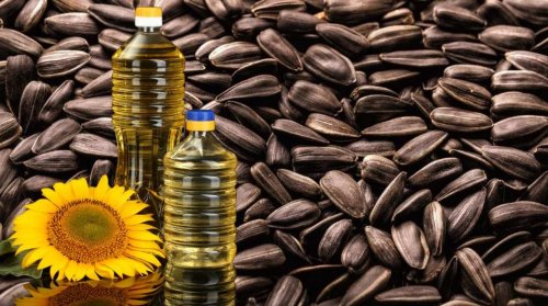 Нов сигнал за риск: БАБХ откри пестициди над нормата в слънчоглед от Аржентина