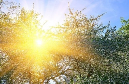 Слънчево време и температури до 18 градуса днес