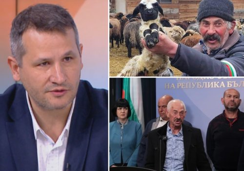 БЕЗНАДЕЖДНО! Христанов реши: Смърт, смърт, смърт за стадото на бай Рибан (ДОКУМЕНТИ)