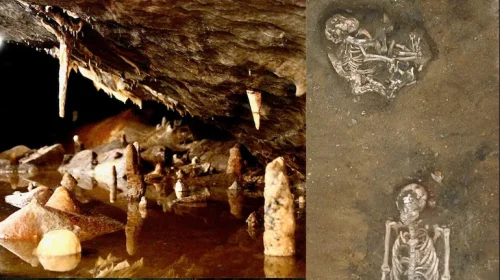 Древна находка пренаписва историята: хората и кучетата заедно още преди 15 000 години