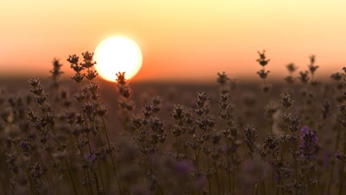 Вижте какво ще бъде времето на 16 март