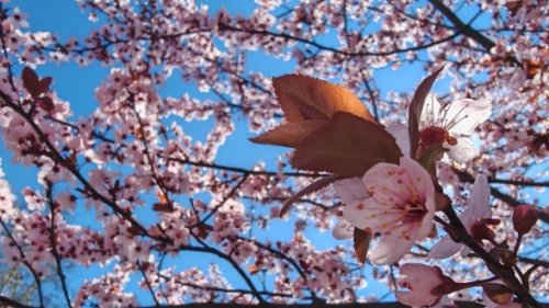 От 21 март денят става по-дълъг от нощта