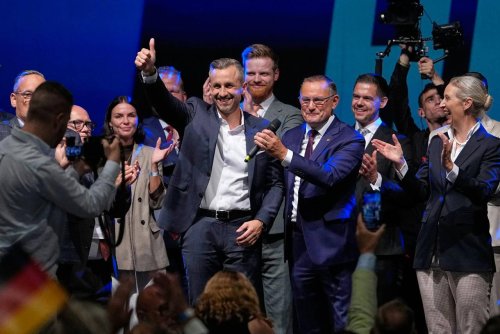 Какво обеща AfD в Саксония-Анхалт: Депортации, край на обществените медии и отделни класове