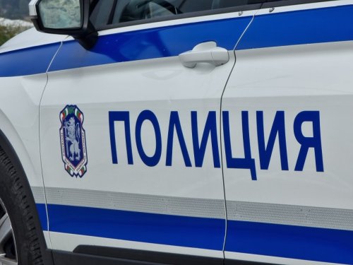 Дърво затисна и уби 57-годишен край Видин
