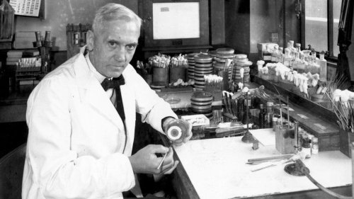28 септември 1928 г.: Мухълът, който промени медицината завинаги