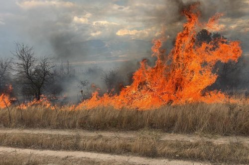 Пожарът във вилна зона &bdquo;Отдих&ldquo; е овладян, но евакуацията продължава