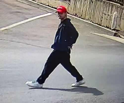 Кражба посред бял ден в &bdquo;Бояна&ldquo;: Жена пусна снимки и търси мъжа, ровил в семейния автомобил