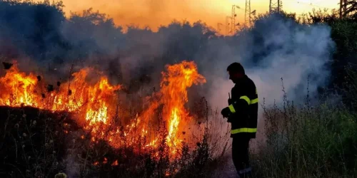 Пожарът от Ивайловград прескочи в Гърция: 220 огнеборци и авиация в битка с пламъците