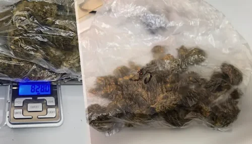Удар в центъра на Русе: задържаха рецидивист с 150 грама марихуана