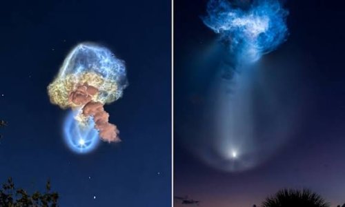 &bdquo;Космическа медуза&ldquo; над САЩ: изстрелване на SpaceX освети небето и стресна хора в няколко щата