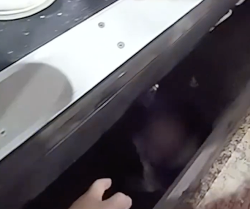 (ВИДЕО) Ужасяващ инцидент на гара в Китай! Дете падна между влак и перона, спасиха го по чудо