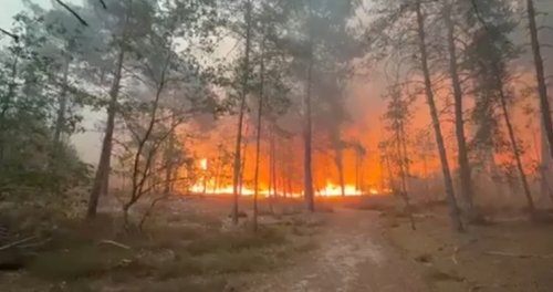Силен вятър разпали пожар край Кулата и Чучулигово: 200 декара изгоряха за часове