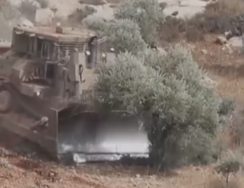 (ВИДЕО) Израелска военна техника изкоренява маслинови дървета край Рамала