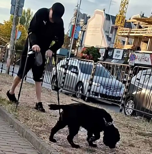 (ВИДЕО) Трогателна постъпка в София! Мъж с патерици показа на всички какво означава истинска отговорност