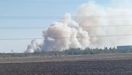 (ВИДЕО) Пожар пламна до военното летище в Крумово: гъст дим се вижда от километри