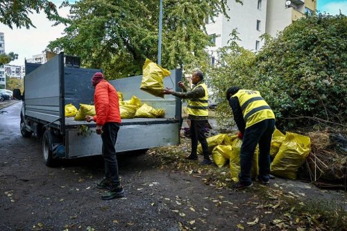 София запретна ръкави: Доброволци върнаха блясъка на езерата в Южния парк