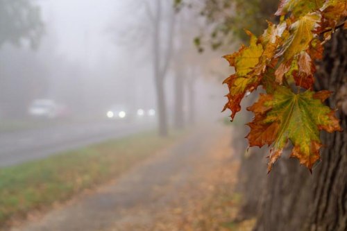 Слънце, но и мъгли: Ето какво време ни чака на 24 октомври