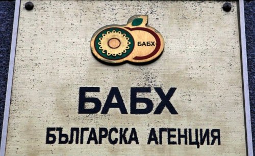 БАБХ затвори училищен стол в Пазарджик и цех за закуски в Хасково