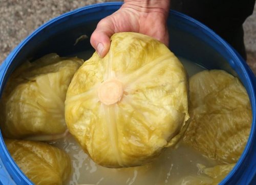 Бабините тайни за най-вкусното кисело зеле: кога да го сложите и какво да добавите в бидона