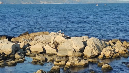Проби от морето край Калиакра след атаката с морски дронове: Търсят следи от замърсяване