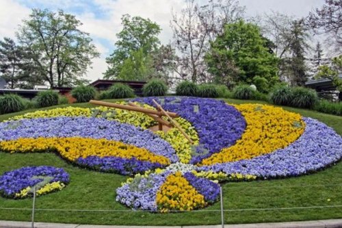 Цветята наистина знаят колко е часът: учени разкриха механизма зад биологичния им часовник