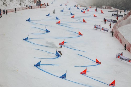България проби на Световното по алпийски сноуборд: Петима в Топ 16 в паралелния слалом