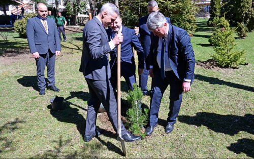 Гюров предупреждава преди вота: дървата за огрев не трябва да стават инструмент за натиск