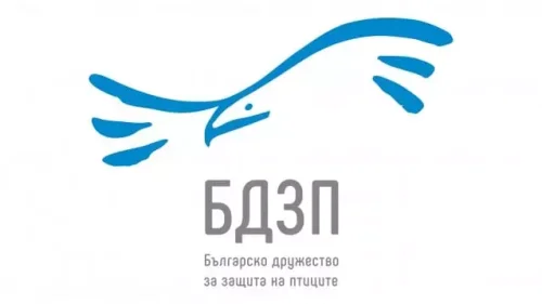 Врабчетата в София изчезват: популацията е паднала с поне 50%