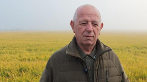 Дрон унищожи 1400 декара пшеница край Болярово, земеделец говори за отмъщение