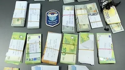 200 000 евро в брой, скрити в ТИР: шофьор е обвинен след проверка край Видин