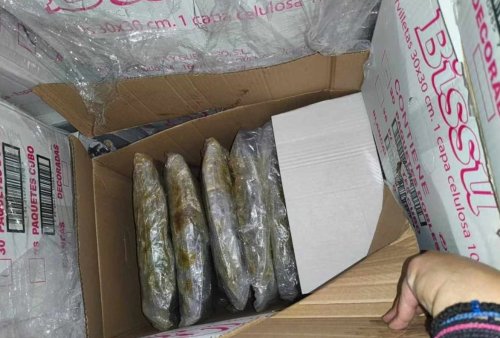 Българин арестуван с 500 кг канабис в Гърция: Пратката била скрита в тоалетна хартия