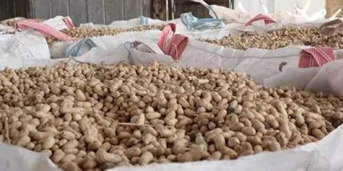 Агенцията по храните спира 18 тона фъстъци с опасни афлатоксини