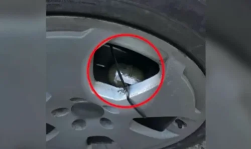 Взривно устройство под кола в Говедарци: Открито в деня на съдебно дело, има видеозапис
