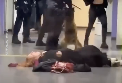 Полицай в Нидерландия повали на земята бременна жена (ВИДЕО)