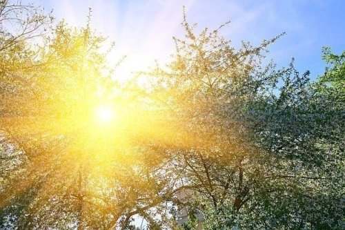 Вижте какво време ни очаква на 21 юни