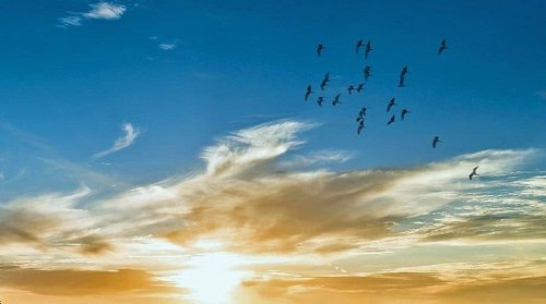 Вижте какво време ни очаква на 26 юни