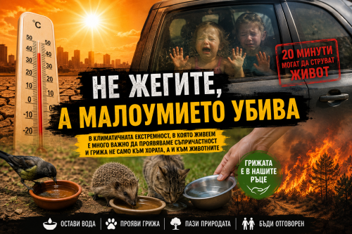 Не жегите, а малоумието убива