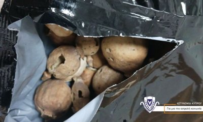 Удар по опиум мрежа в Кипър: 21 арестувани, 60 кг дрога иззети