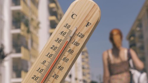 Смъртността във Франция скочи с близо 30% заради екстремните жеги