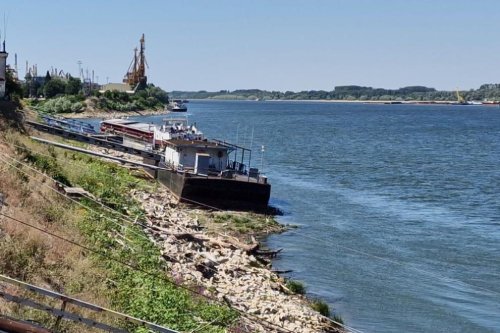 Дунав продължава да спада: Нивото при Русе достигна минус 91 сантиметра