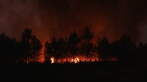 (ВИДЕО) Пожарите във Франция са под контрол: 126 пожарникари са пострадали при борбата с огъня