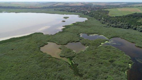 (ВИДЕО) Рекордно ниското ниво на Дунав поставя под риск резерват &bdquo;Сребърна&ldquo;