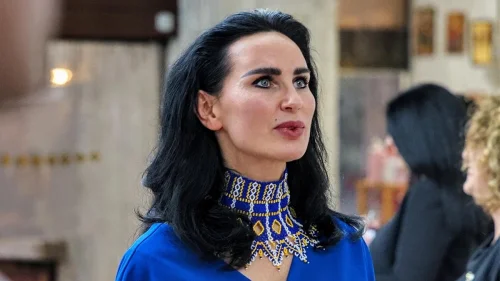Украинската посланичка за дрона край Кардам: Не сме го насочвали умишлено към България