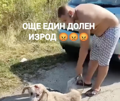 (ВИДЕО) СКАНДАЛНО ЗВЕРСТВО: Мъж безмилостно влачи куче, кадрите предизвикаха възмущение